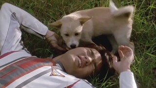 [Ultraman Tiga] Apakah kamu masih ingat anjing ini?