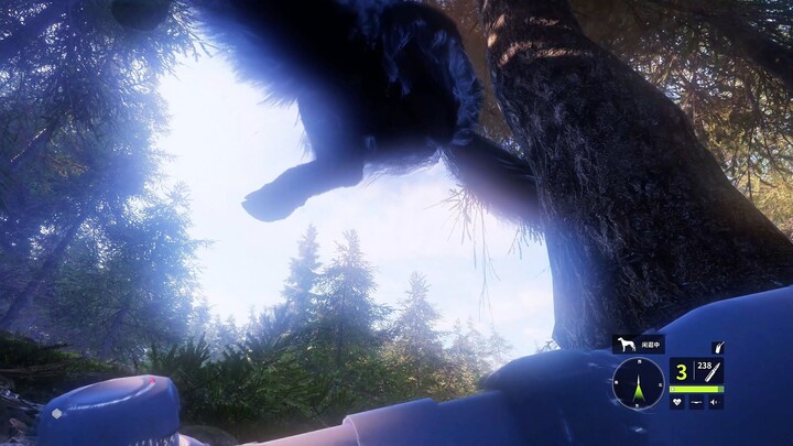 โดนวัวขี่เหรอ?