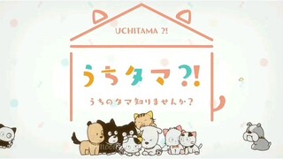 Uchitama and His friends
