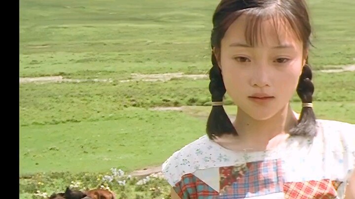 ผลงานที่ทำให้หลี่เสี่ยวลู่มีชื่อเสียง