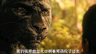 Báo đen há to miệng đầy máu lao về phía cậu bé, nhưng thực ra là để cứu mạng cậu, bởi ngay bên dưới,