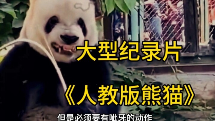 Dokumenter Besar "Panda Edisi Pendidikan Rakyat"