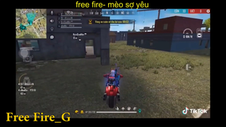 FREE FIRE _ MÈO SỢ YÊU P2