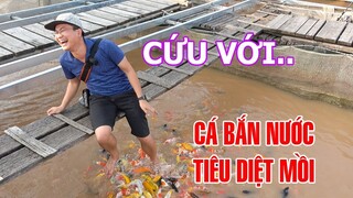 Ngắm cơ ngơi và đàn cá khủng của Tỷ Phú miền Tây | DU LỊCH KHÁM PHÁ CUỘC SỐNG SÔNG NƯỚC MIỀN TÂY