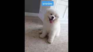 เธอคนเดียวที่กินใจ แม้ใครๆ จะกินคลีน