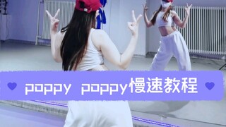 stayc ซิงเกิลญี่ปุ่น Poppy Poppy สอนเต้นช้าๆ + คัฟเวอร์สปีดต้นฉบับ