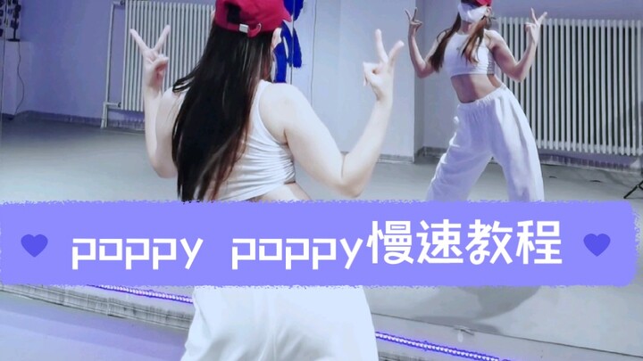 stayc Đĩa đơn tiếng Nhật Poppy Poppy hướng dẫn chậm + bản cover tốc độ gốc