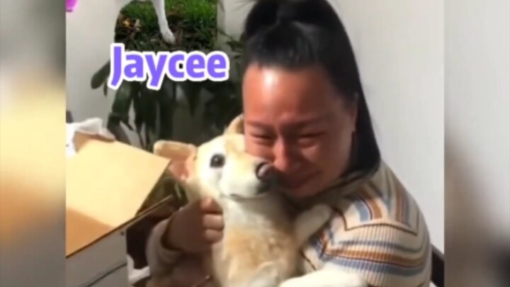 One second and I’m already emotional—anyone who’s ever owned a pet will understand.