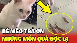 Bé mèo hoang TẶNG QUÀ TRẢ ƠN nuôi dưỡng khiến cô chủ TRẦM CẢM 😂 | Yêu Lu