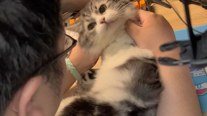 งานกลุ่มของนักศึกษามหาวิทยาลัย