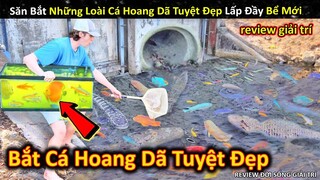 Săn Bắt Những Loài Cá Hoang Dã Tuyệt Đẹp Không Ngờ Ở Hố Nước Ô Nhiễm || Review Giải Trí Đời Sống