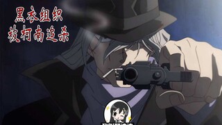 【迪迪】黑衣组织到底做了什么一直被柯南追杀， 琴酒的真实身份，似乎已经明了