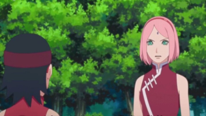 Sakura vs Sarana, Sakura said her ninja level, Kakashi should celebrate
