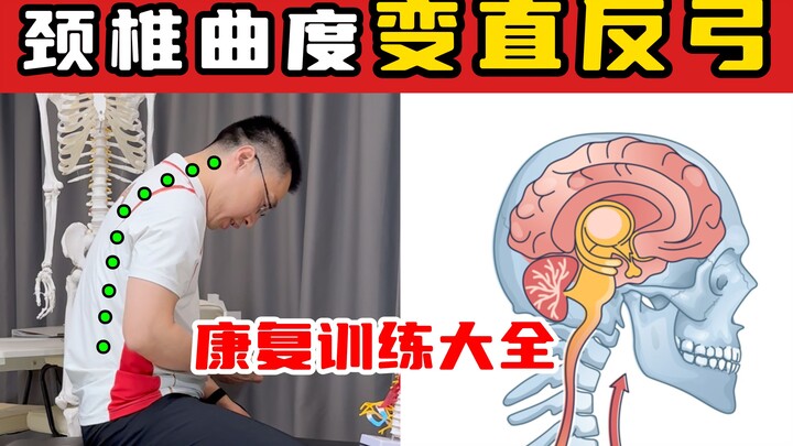 [Olympic Champion’s Chiropractic Doctor] Comprehensive Rehabilitation Exercises for Straightened/Rev