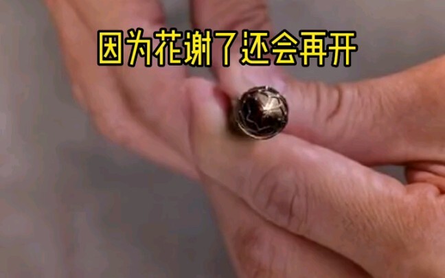 “Kung Fu” – Senjata Tersembunyi Teratai: Episode Terakhir dari Sembilan Jurus Teratai! Berlangsung s