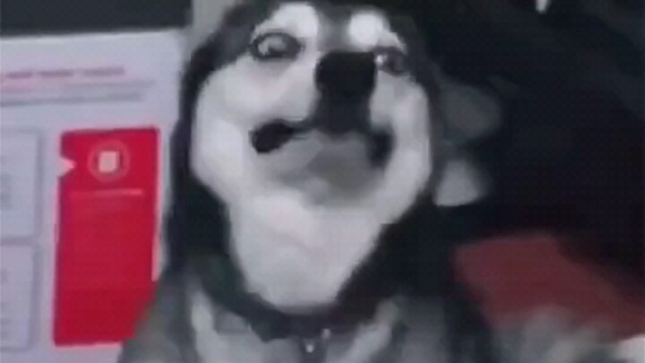 Licking one person makes you a dog; licking ten thousand makes you a wolf. Only by being the lowest 