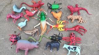 Giải Cức Các Con Vật: Cá Sấu - Hà Mã - Khủng Long - Tê Giác - Hươu Cao Cổ - Cá Mập P2