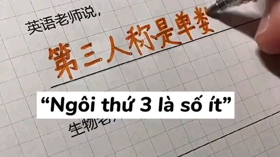Giáo viên của các bạn đã nói gì ?