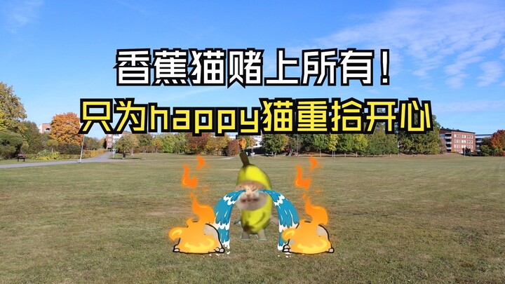 香蕉猫赌上所有！只为happy猫重拾开心