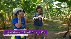 ภารกิจ Kids สนุก ประเดิมเรื่องกล้วยๆ ที่บ้านเกาะคู จ.พิษณุโลก วันเสาร์ที่ 5 ก.ค.นี้ เวลา 11.30 น.