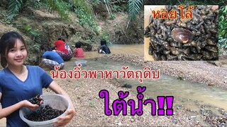 น้องอิ๋วพาหาวัตถุดิบใต้น้ำ!! พาน้องๆหลานๆหาหอยโล้ได้เยอะมากๆ