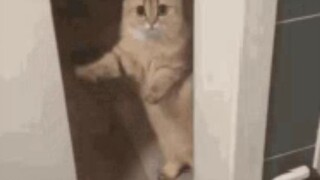bye bye