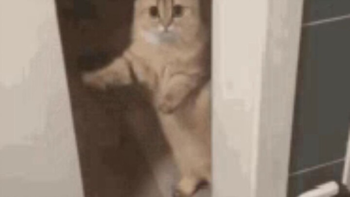 bye bye