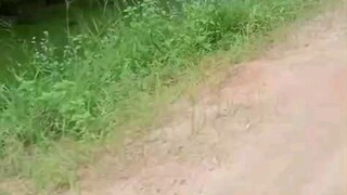 Perjalanan menuju spot mancing guys