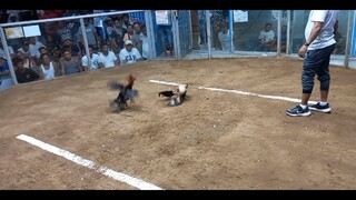 hackfight Win Sweater Kelso