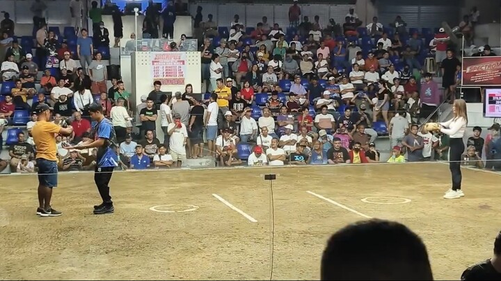 Firebird Angels vs Meng Ocante