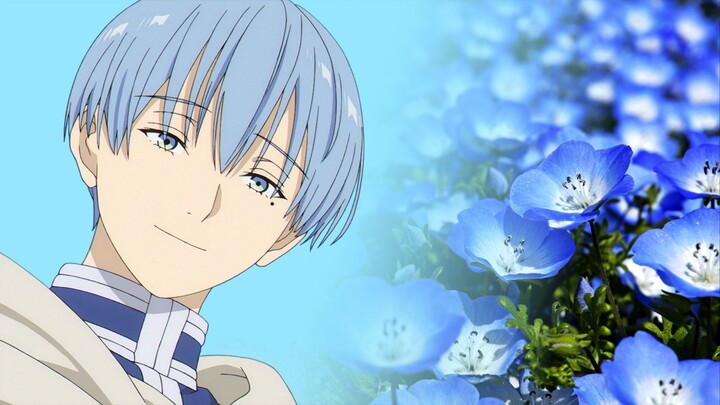 Finally I saw the real magic of the flower field