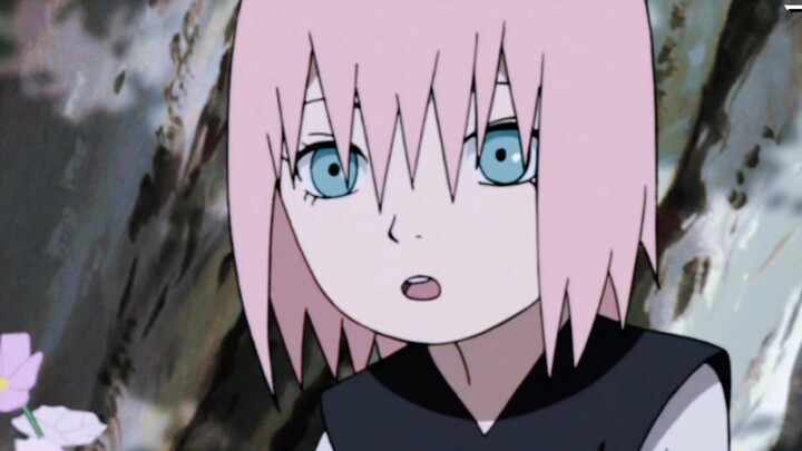 【Naruto】The Twenty-Four Solar Terms of Haruno Sakura