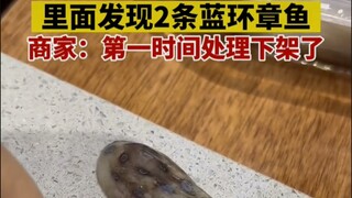 Edible octopus mixed with blue-ringed octopus