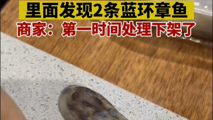 Edible octopus mixed with blue-ringed octopus
