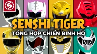 TỔNG HỢP CHIẾN BINH HỔ