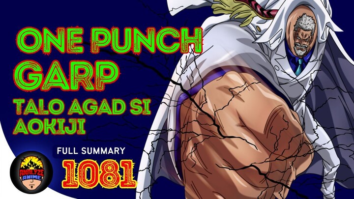 Isang suntok lang kay Garp si Aokiji | One Piece Full 1081