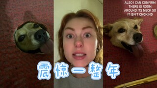 震惊！女子家中浴室竟凭空冒出狗头！