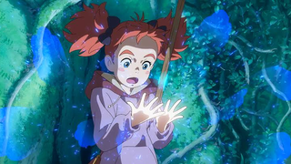 Mary and the Witch's Flower