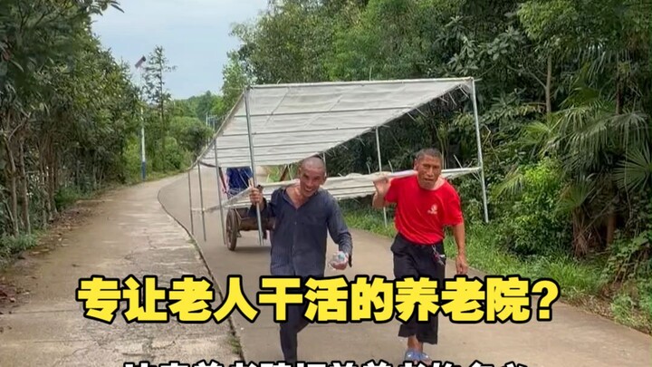 Panti jompo ini, dengan dalih layanan lansia, terus-menerus memaksa para lansia bekerja! Selama masi
