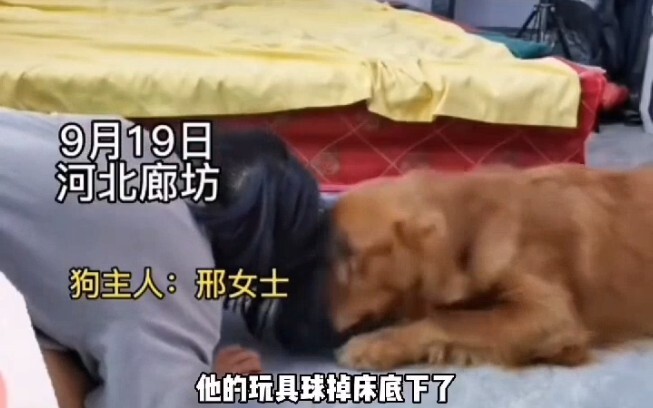 Mainan anjing jatuh di bawah tempat tidur, si empunya iseng bilang ‘kalau aja ada sapu…’ Pas tatap-t