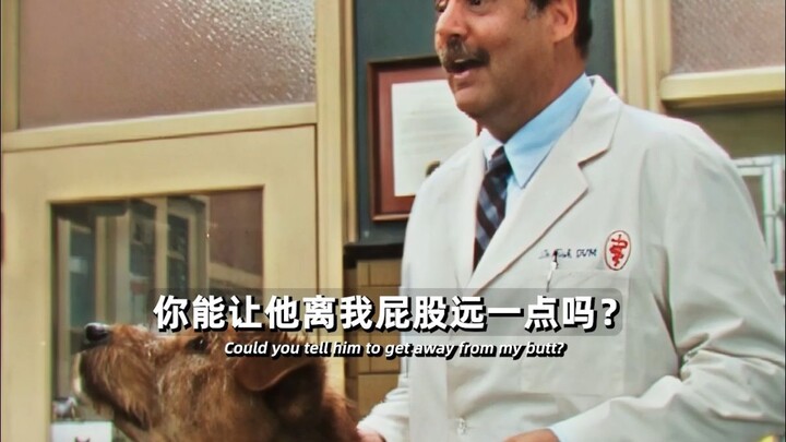 Anjingnya akan membencinya seumur hidup.