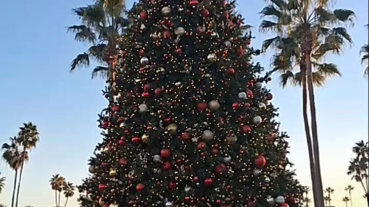 Christmas Tree And Train.  El Árbol De Navidad Y El Tren.  12.7.2025  聖誕樹和火車。 2025年12月7日