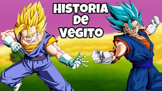 Dragon ball: La Historia de VEGITO 🔸 | Dragon ball z: La vida de Vegito