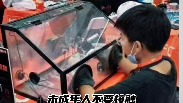 模型喷涂油漆有害健康，未成年人要远离