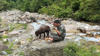 山里人为什么喜欢山里，就像脚穿上鞋子舒服。