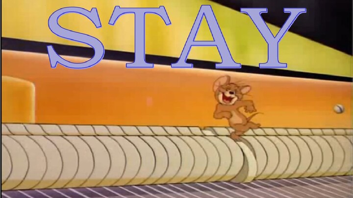 [MAD]Khi<Tome và Jerry> kết hợp với<Stay>...