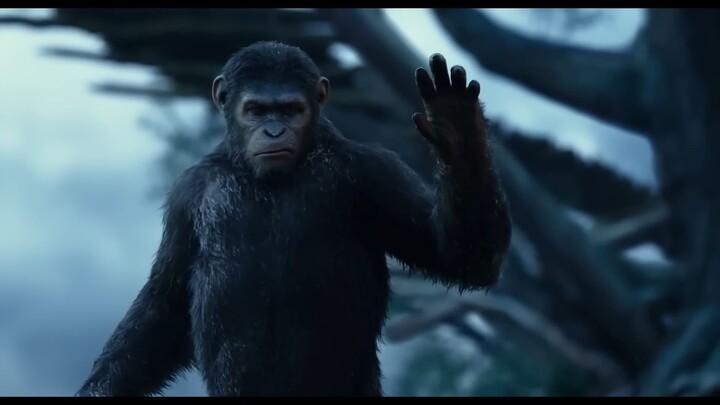 Apes Do Not Want War Scene DAWN OF THE PLANET OF THE APES 2014 Sci-Fi, Movie_CLI