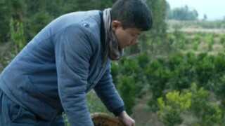Chuẩn bị một số đồ ăn nhẹ trước năm mới
