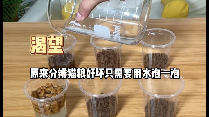 Turns out you only need to check these 3 things to tell good cat food from bad? See if your cat’s fo