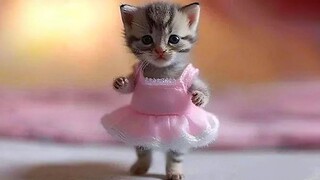 Funniest Animals 2023 🤣 Best Cats and Dogs Videos 😻🐶😻 Part 21